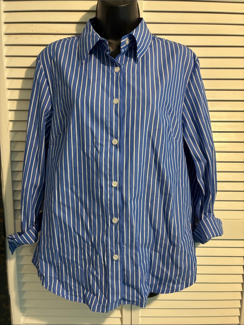 Striped Casual Button-Down Shirt in Blue and White